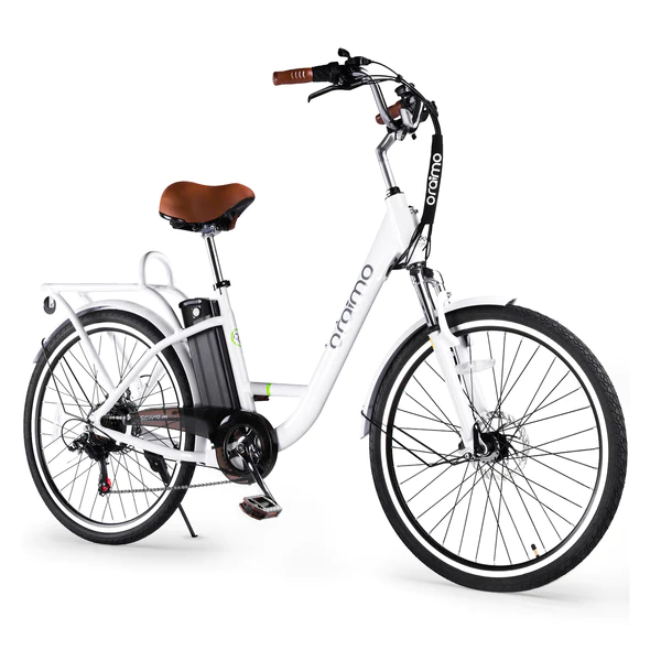 top 5 best cheapest ebikes of 2024 : must buy