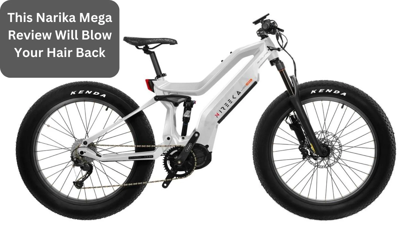 The beast Nireeka Mega E-Bike in depth review