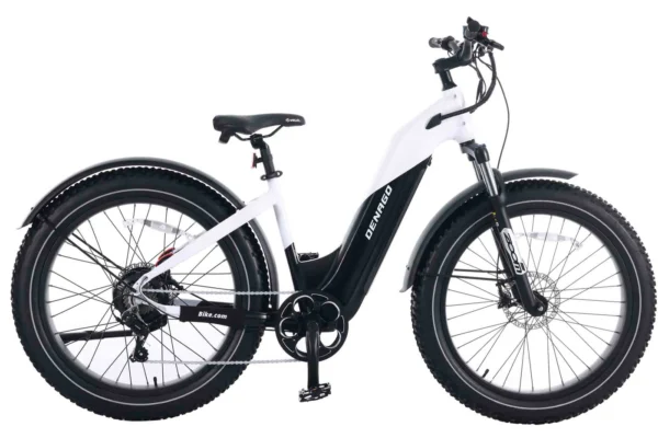 Denago Fat Tire Step-Thru eBike: A Comfortable Cruiser with Power and Style