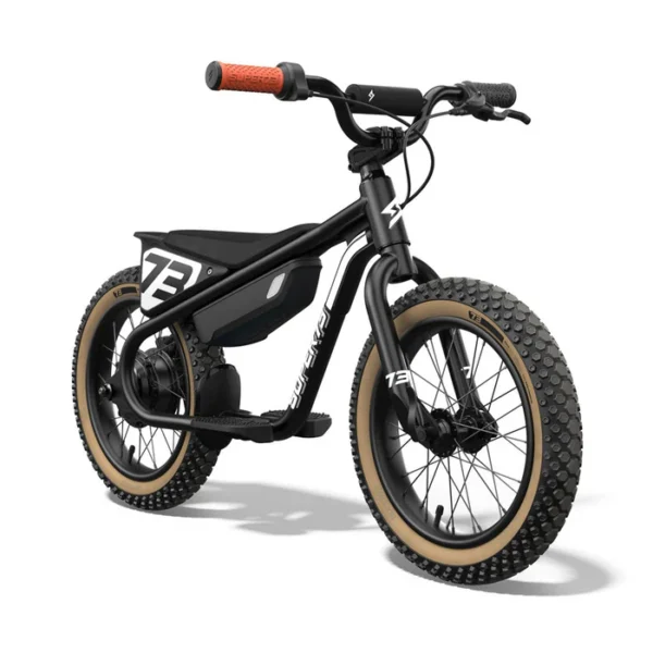 Best Electric Dirt Bikes for Kids in 2025 - Top Picks