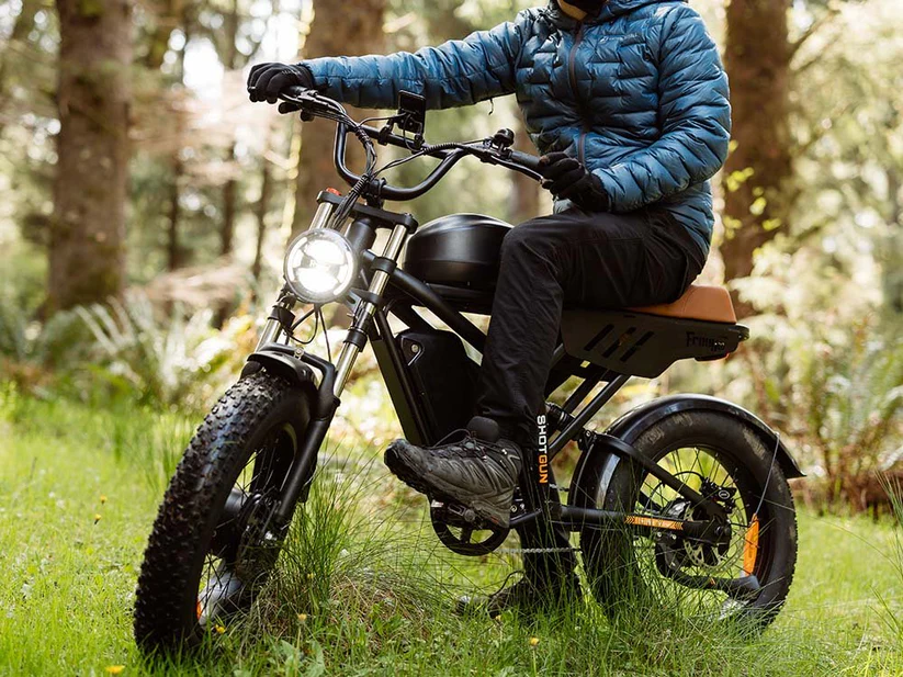 Freego Electric Bikes : Powerful E-Bikes in 2025