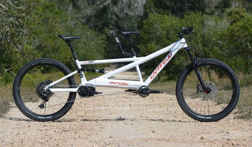 Electric Tandem Bike: The Best Bicycle for Two Riders
