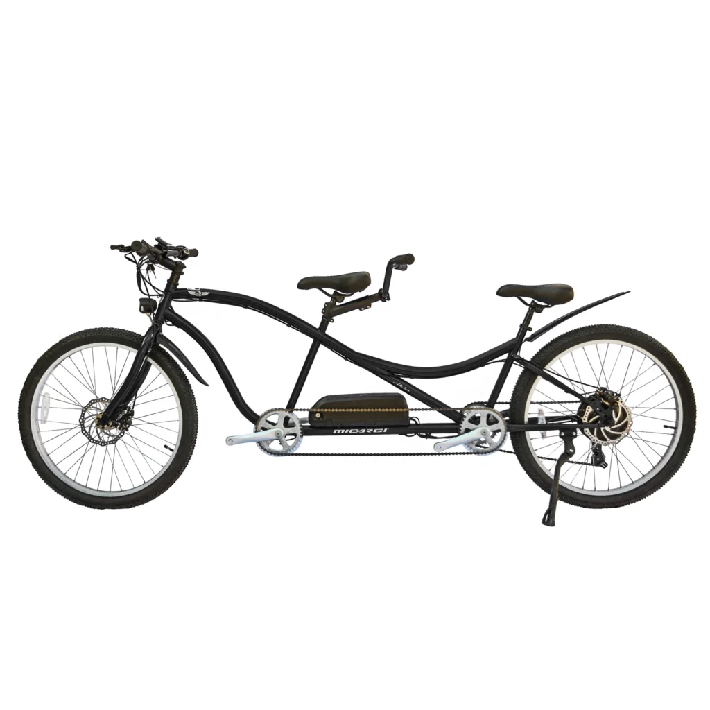 Electric Tandem Bike: The Best Bicycle for Two Riders