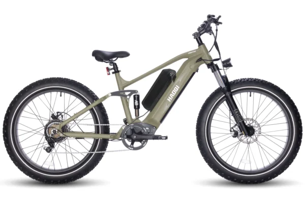 Discover the Best Class 2 Electric Bikes for Every Rider