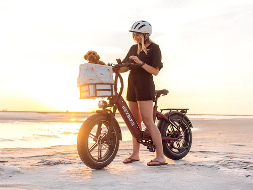 Discover the Best Class 2 Electric Bikes for Every Rider