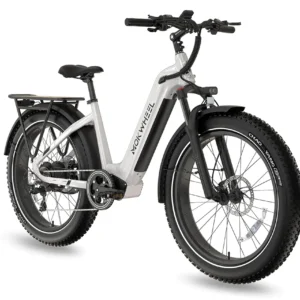 Discover the Best Class 2 Electric Bikes for Every Rider