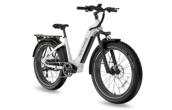 Discover the Best Class 2 Electric Bikes for Every Rider