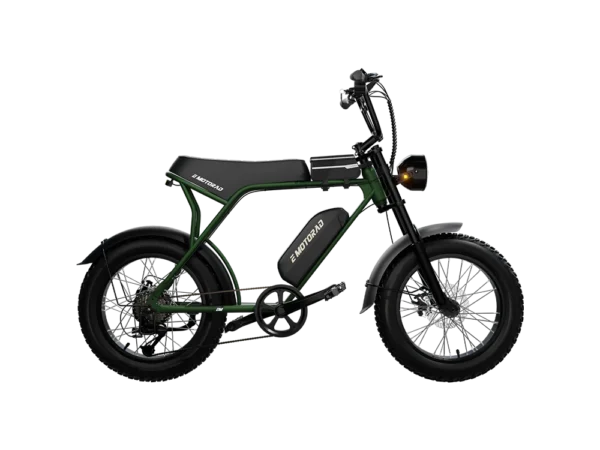 Buy EMotorad Ranger Electric Cycle Online – Fat Tyre E-Bike for Urban & Adventure Riders